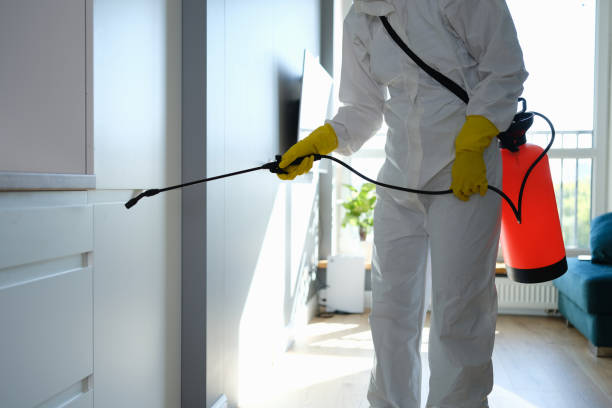 Best Mold Testing and Inspection Services in Tecumseh, MI