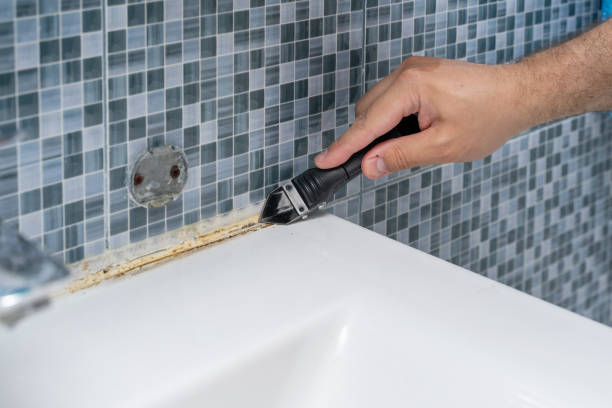 Best Industrial Mold Remediation in Tecumseh, MI