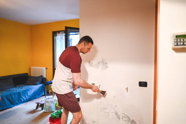 Best Attic Mold Remediation in Tecumseh, MI